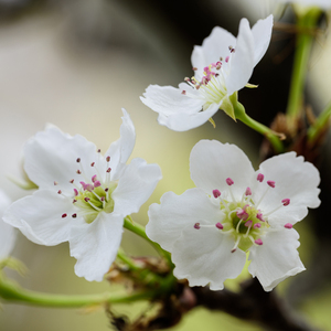 sm免费网站❌Xx视频国产
